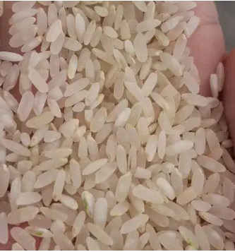 برنج کامفیروزی اصل بدون قاطی بدون واسطه